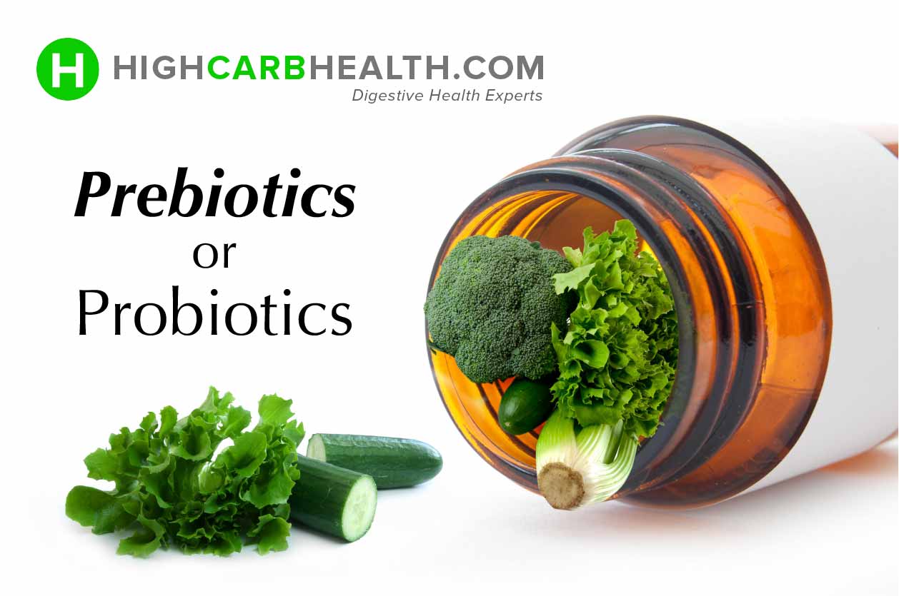 Prebiotics Vs Probiotics – The Importance of Fibre for Healthy Gut Bacteria