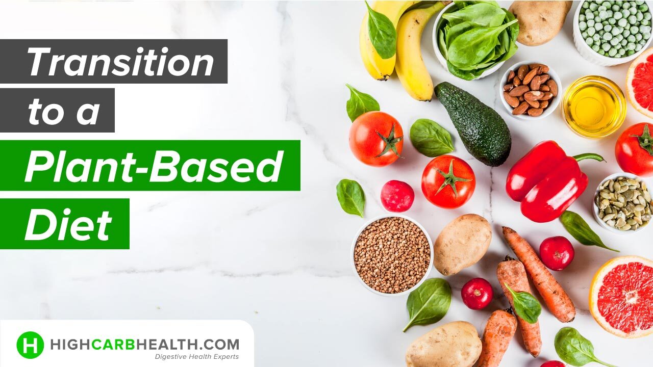 How to Transition to a Healthy Plant-Based Diet?