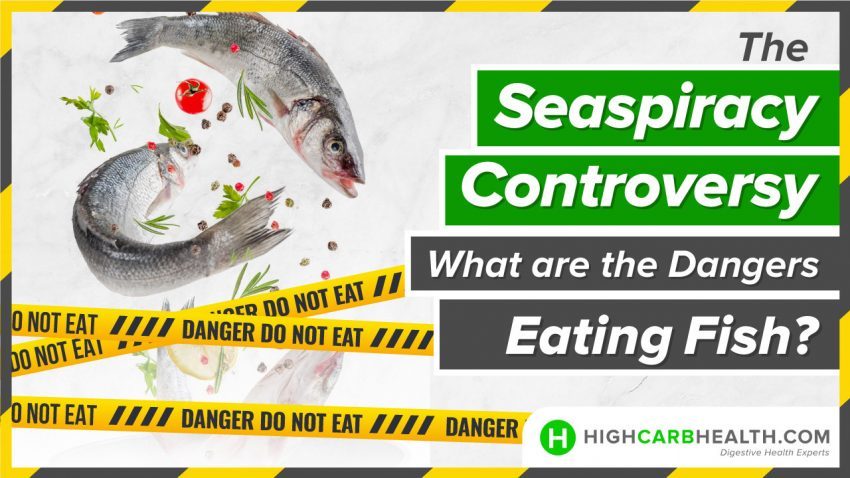 The Seaspiracy Controversy: What are the Dangers of Eating Fish?